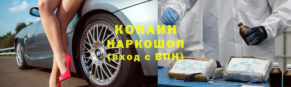 прущие крисы Верея